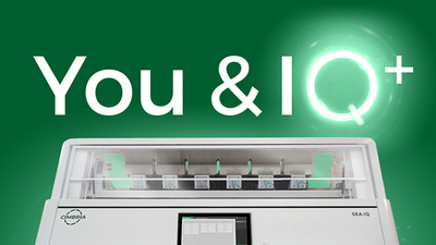 You and IQ