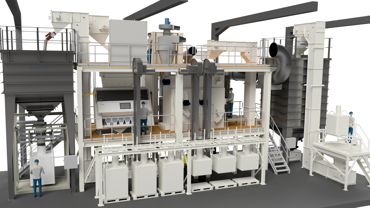 Cleaning line for pulses